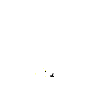 zzwin