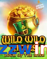 zzwin