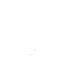 zzwin
